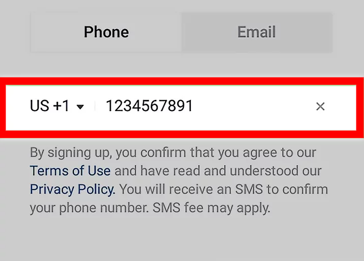 enter a correct number or email