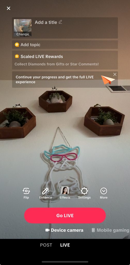 go live on tiktok 