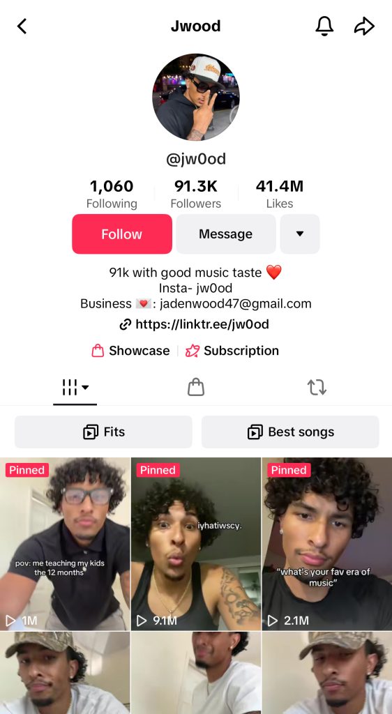 perfect tiktok bio ideas