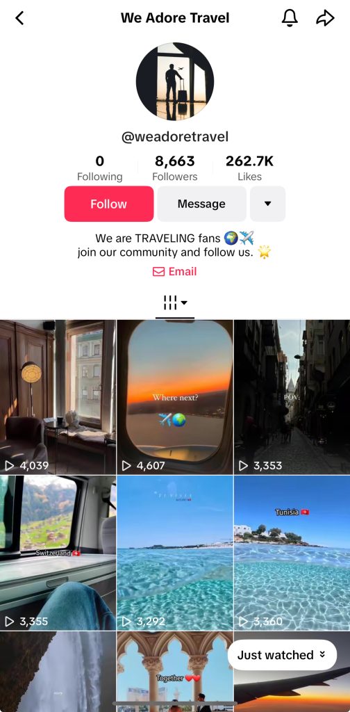 tiktok bio ideas travelers 
