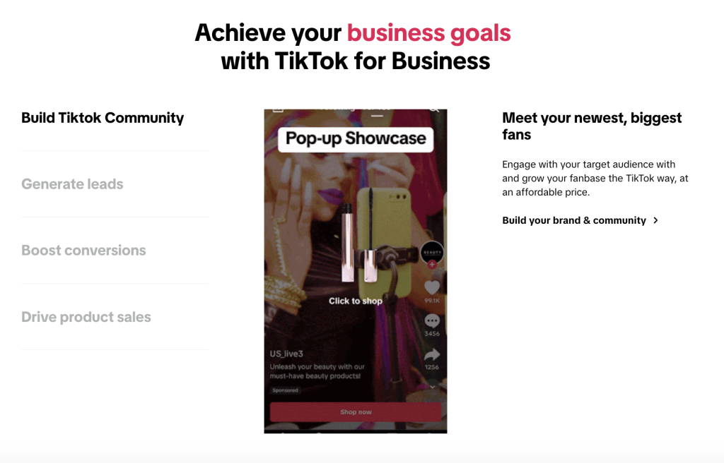 how to run tiktok ads types