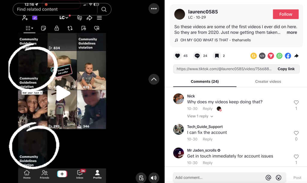 tiktok community guidelines restriction